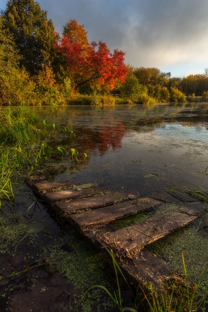 Фотография автора Мартыненко Дмитрий