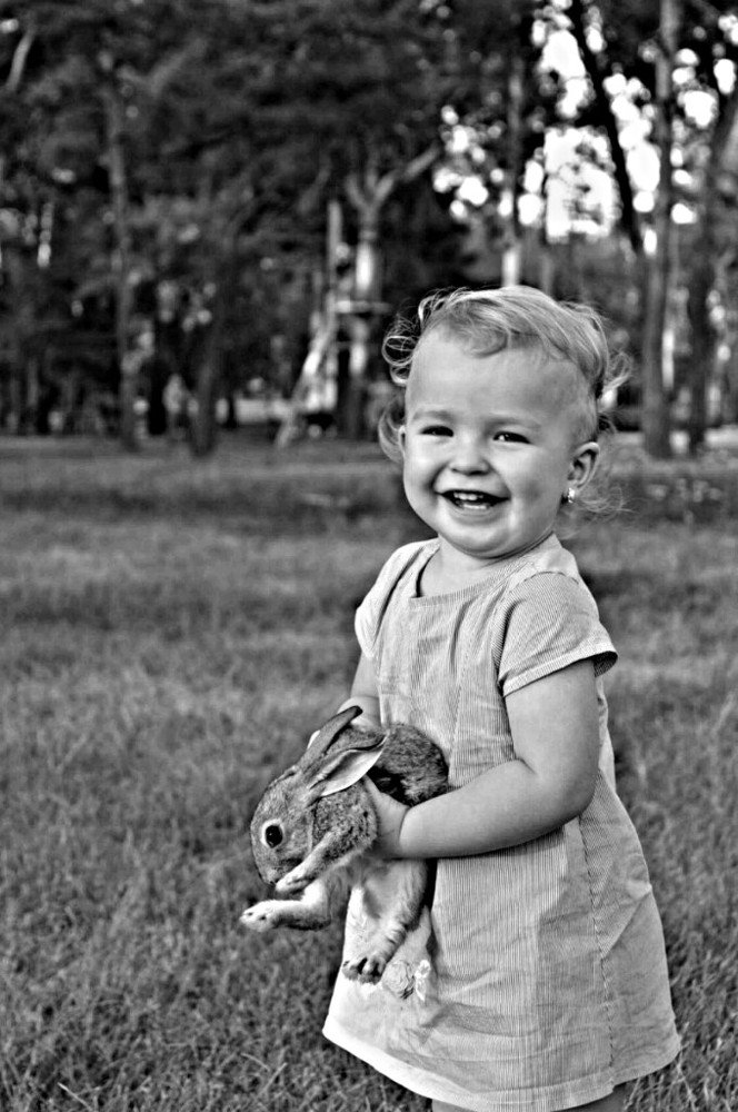 Фотография автора Павел Попов