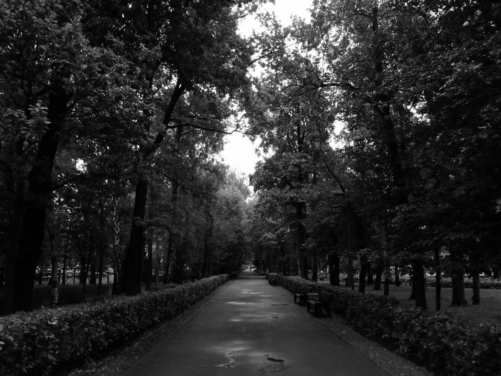 Фотография автора Настя Каляндра