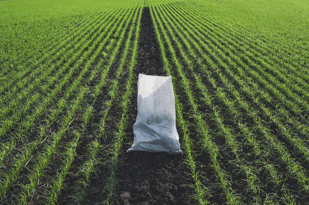 Фотография автора Dmitriy Zhuravlev