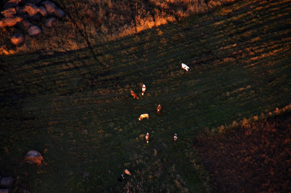 Photograph by Амалия Ильенко