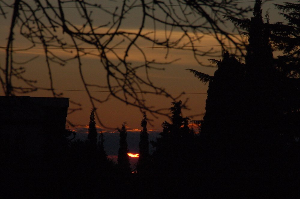 Photograph by Амалия Ильенко