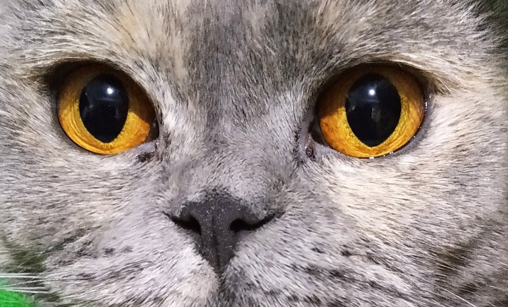 Photograph by Ali Aliyev