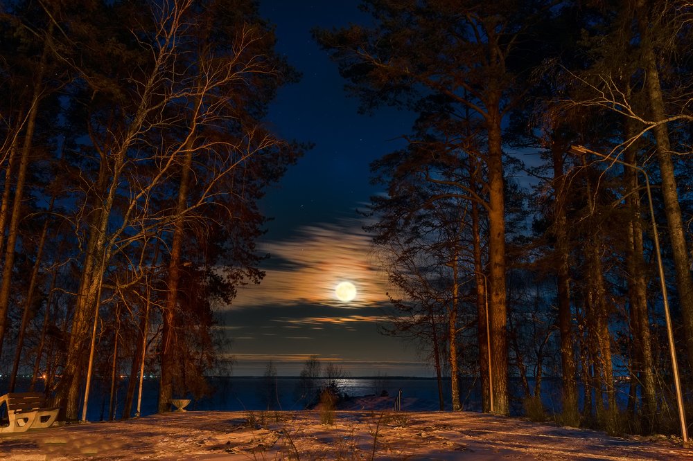 Photograph by Александр Кривошеин