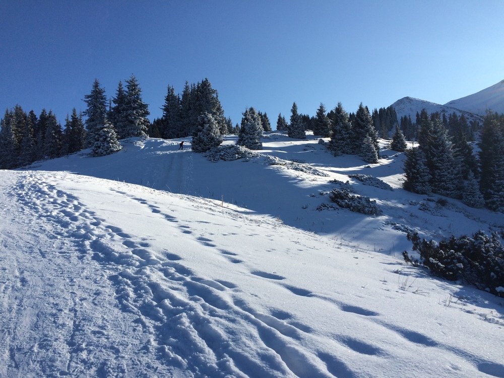 Зимняя прогулка.