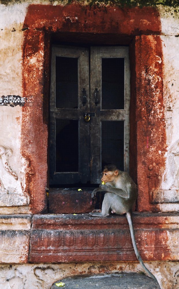 Photograph by Анна Милёшина