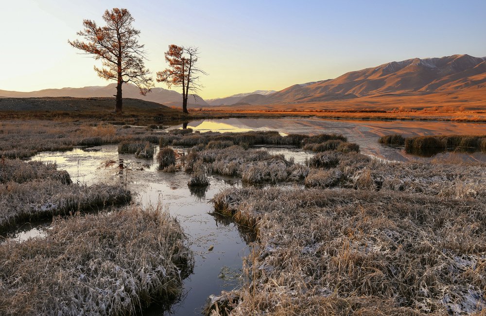 В Чуйской степи