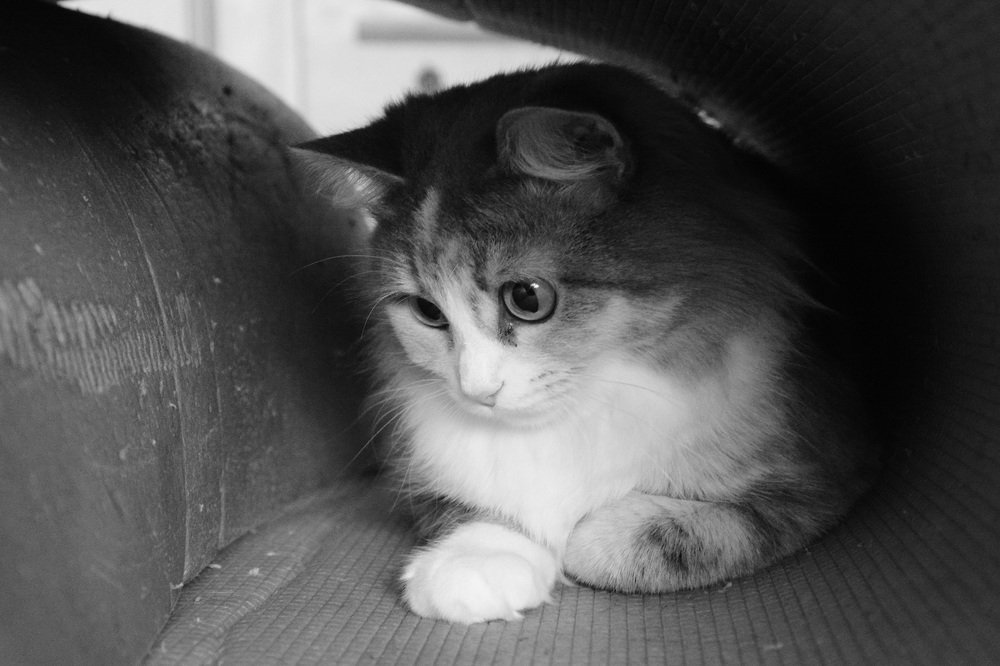 Photograph by Михаил Лавренков