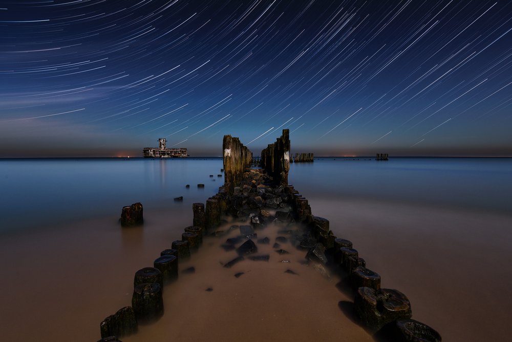 Photograph by Patryk Janota