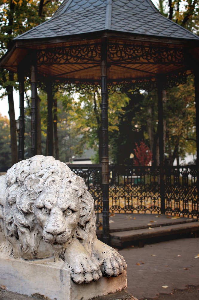 Photograph by Кристина Недогода