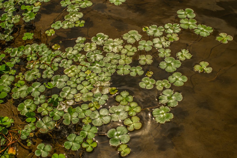 Photograph by Роман Васильев