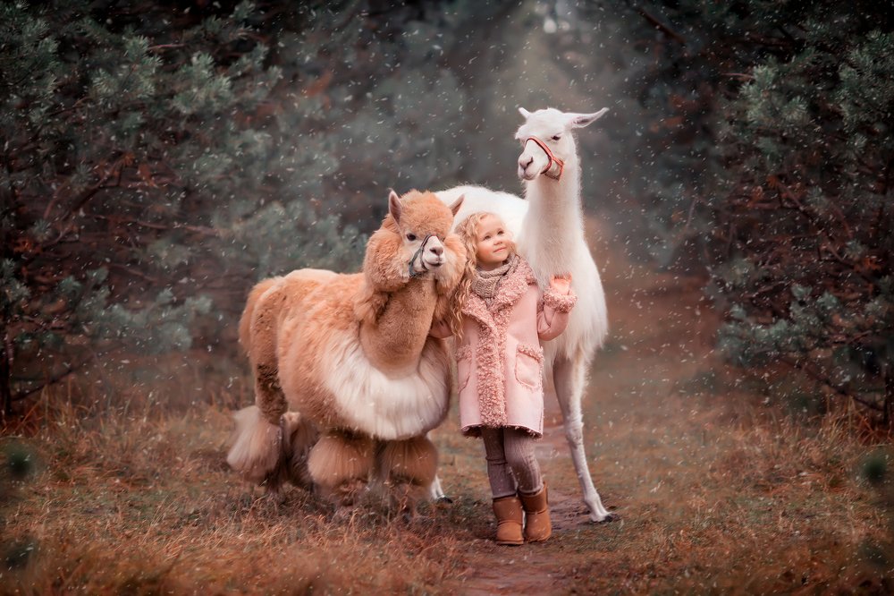 Серебрянный бор