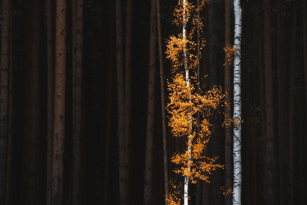 Photograph by Сергей Гарифуллин