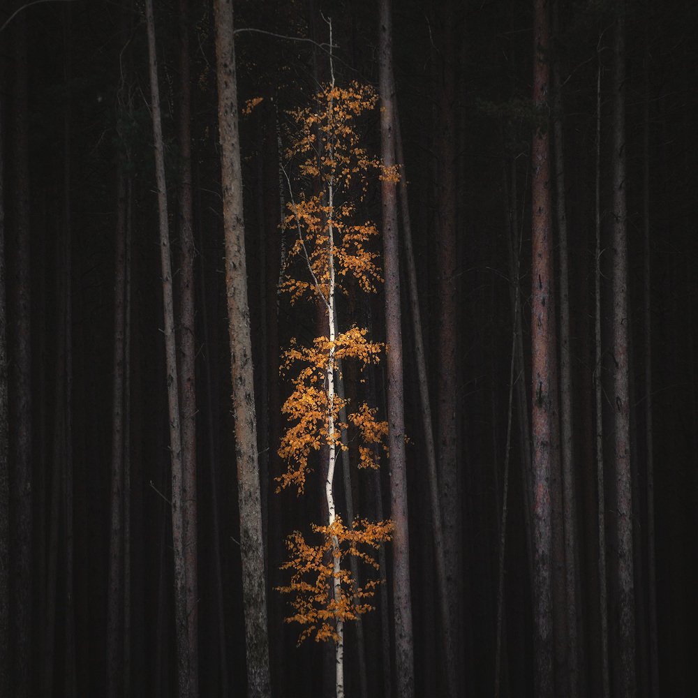 Photograph by Сергей Гарифуллин