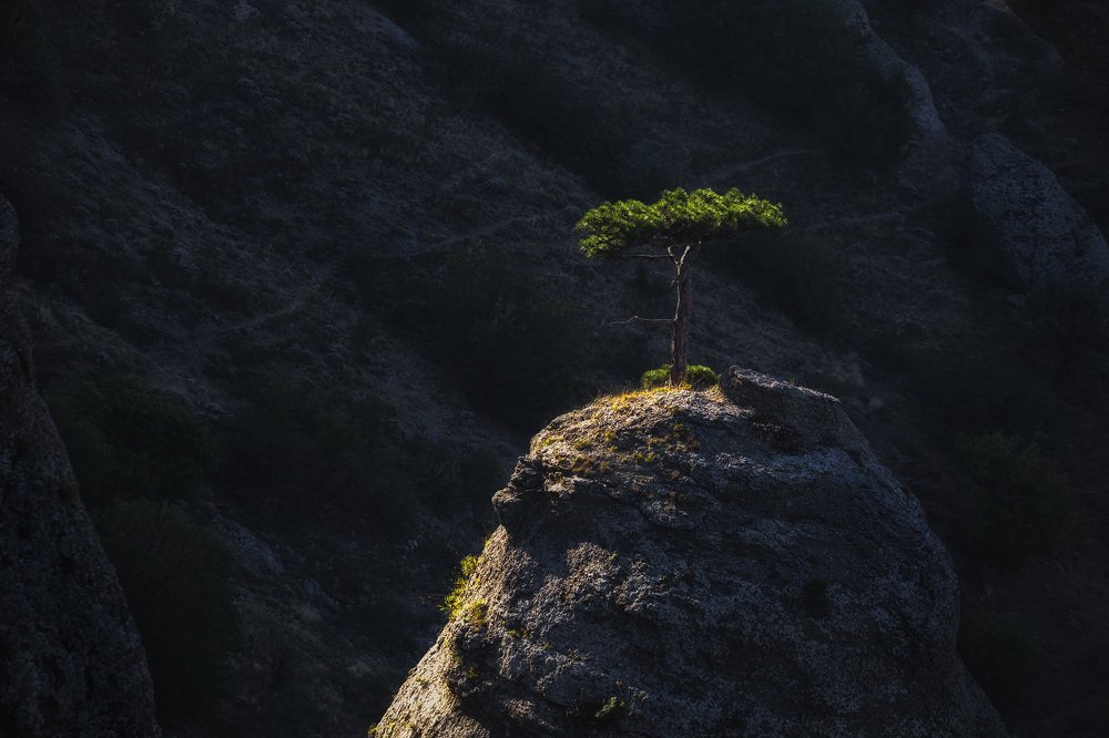 Photograph by Сергей Гарифуллин