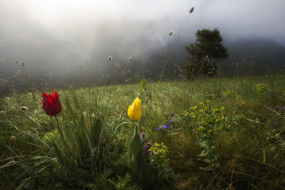 Photograph by Сергей Гарифуллин