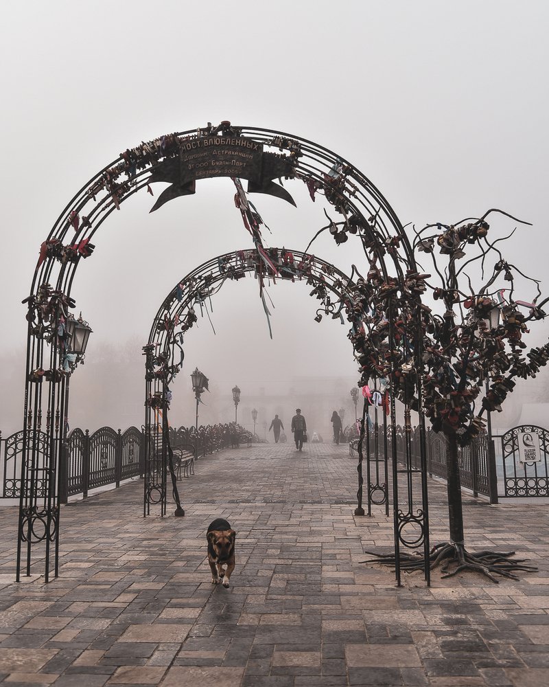 Photograph by Наталья Темная