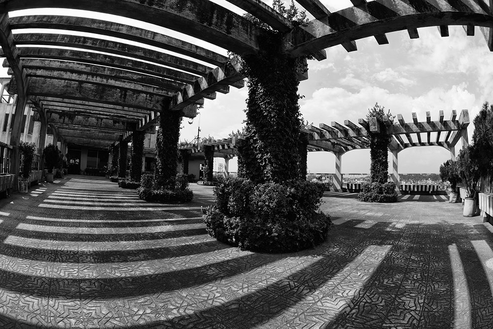 Photograph by  MD DIDARUL ALAM CHY