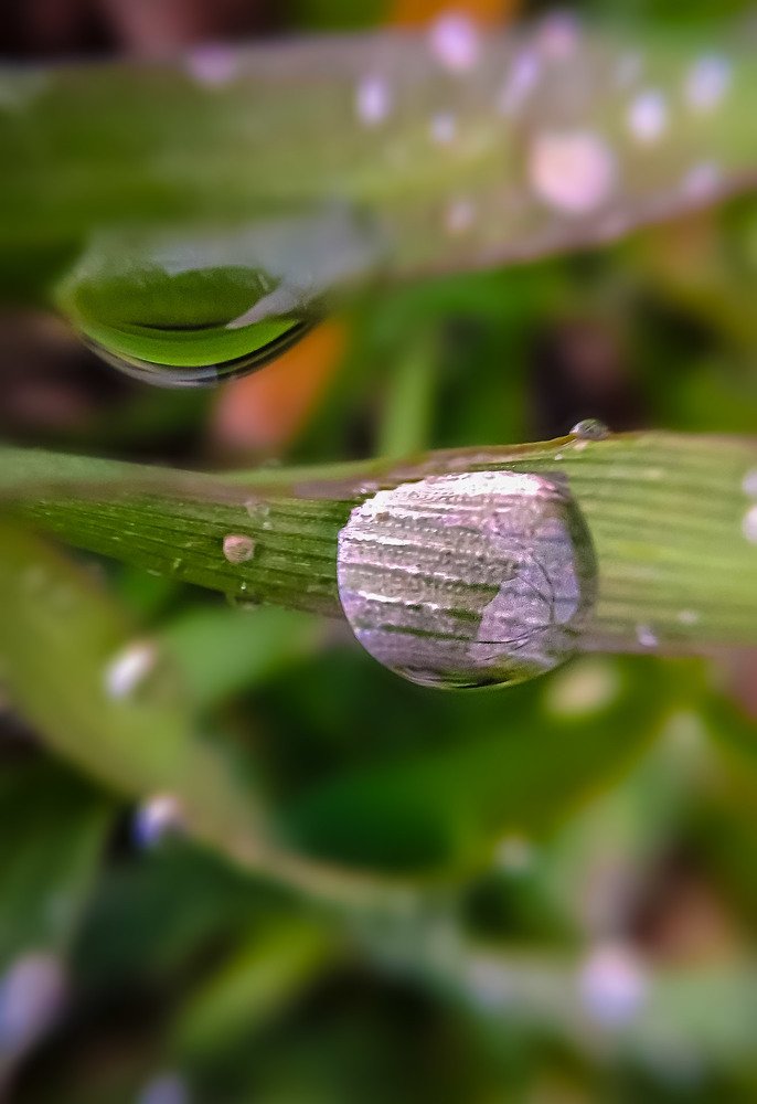 Pure drops