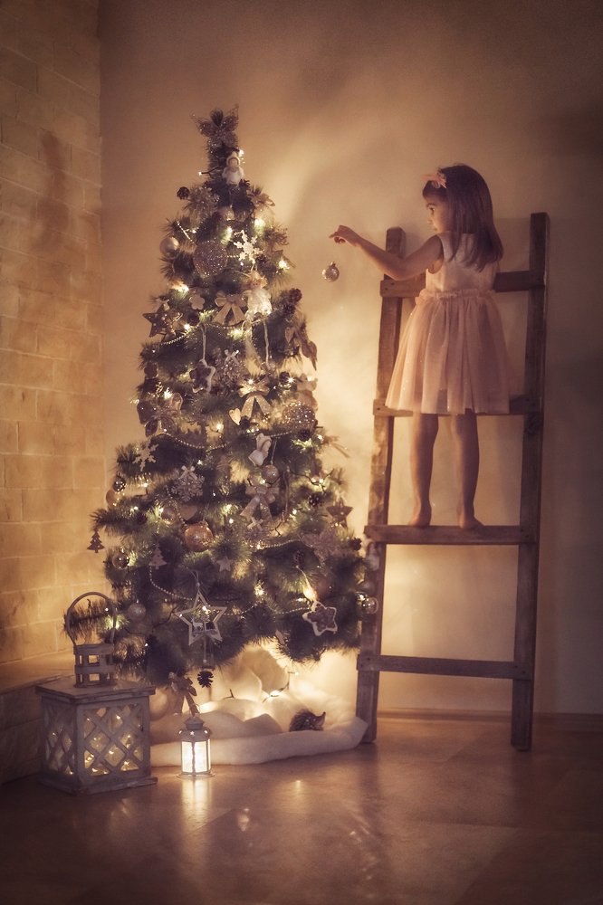 Фотография автора Екатерина Антонова