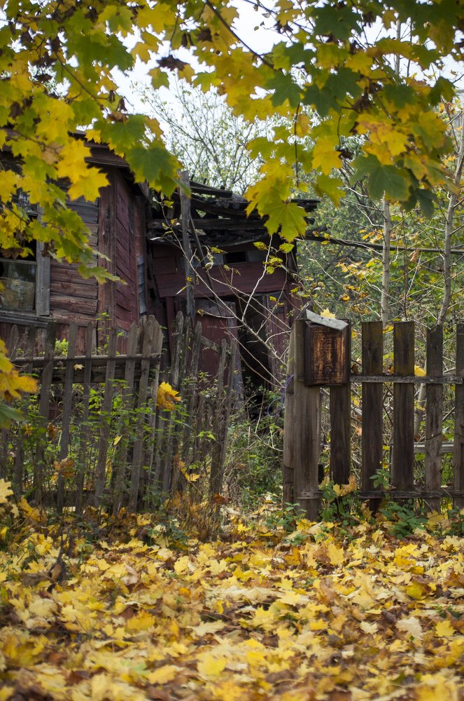 Photograph by Василий Либко