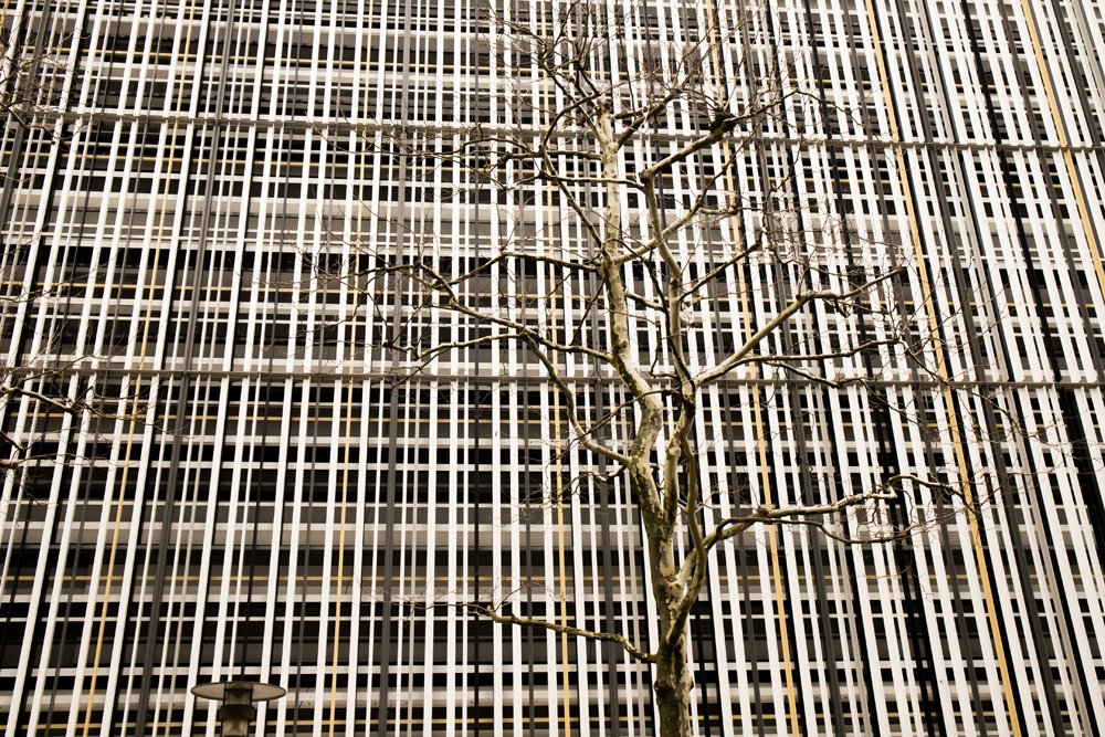 Урбанизация.