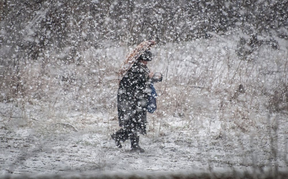 Photograph by Василий Либко