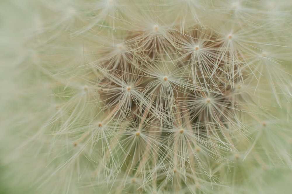 Photograph by Cristhian Estiwar