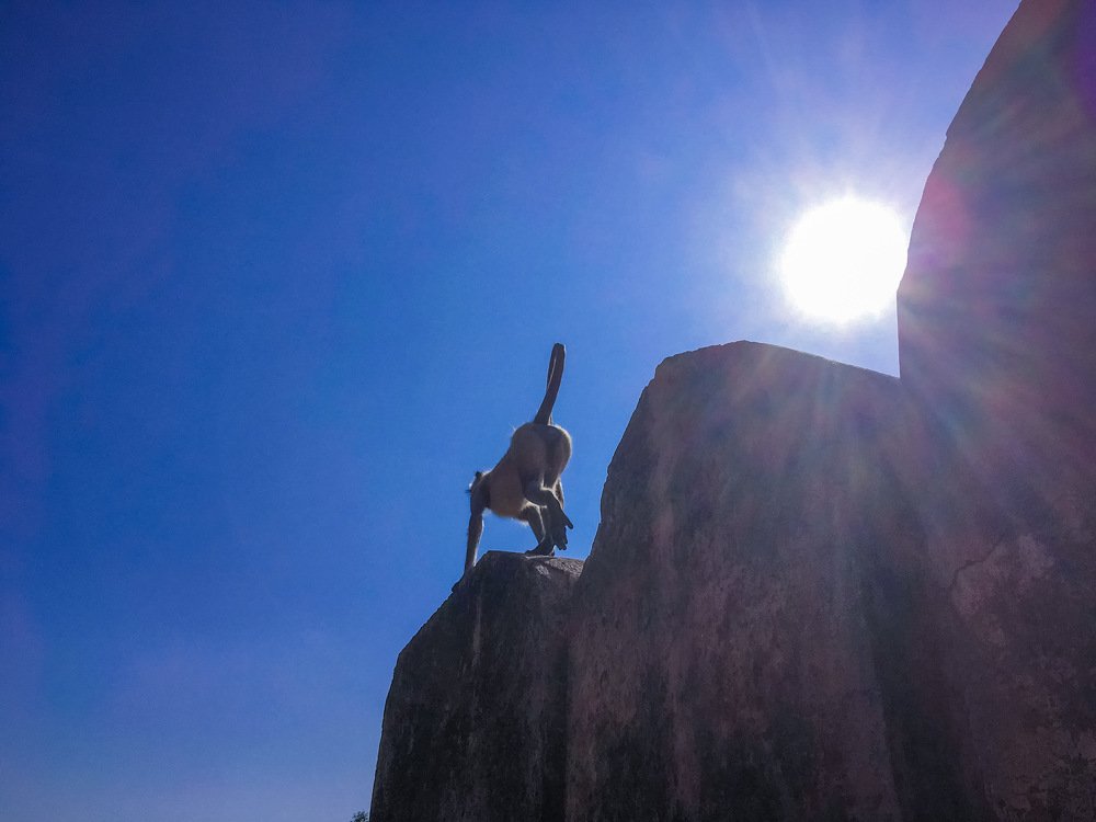 Фотография автора Armando Angulo