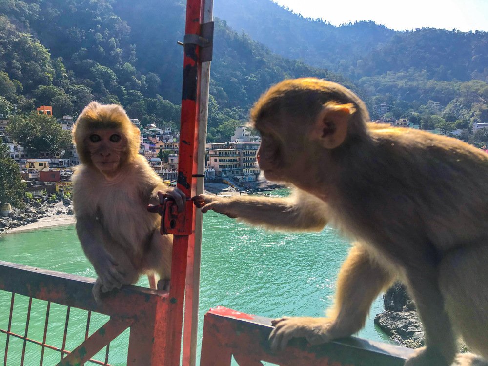 Фотография автора Armando Angulo