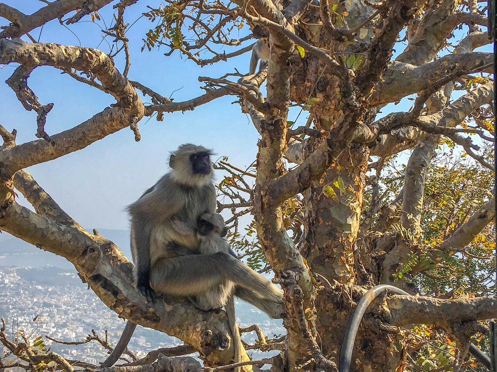 Фотография автора Armando Angulo