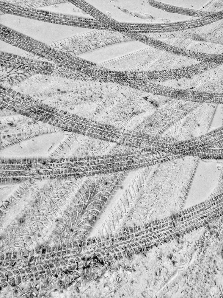 Photograph by Ирина