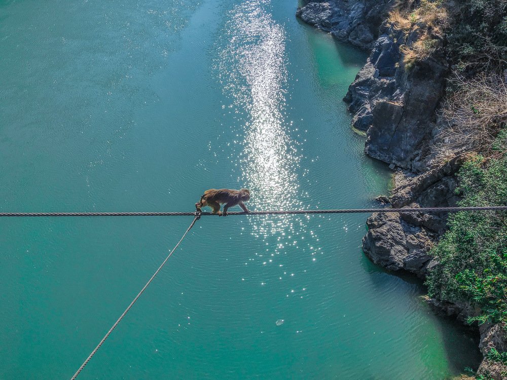 Фотография автора Armando Angulo