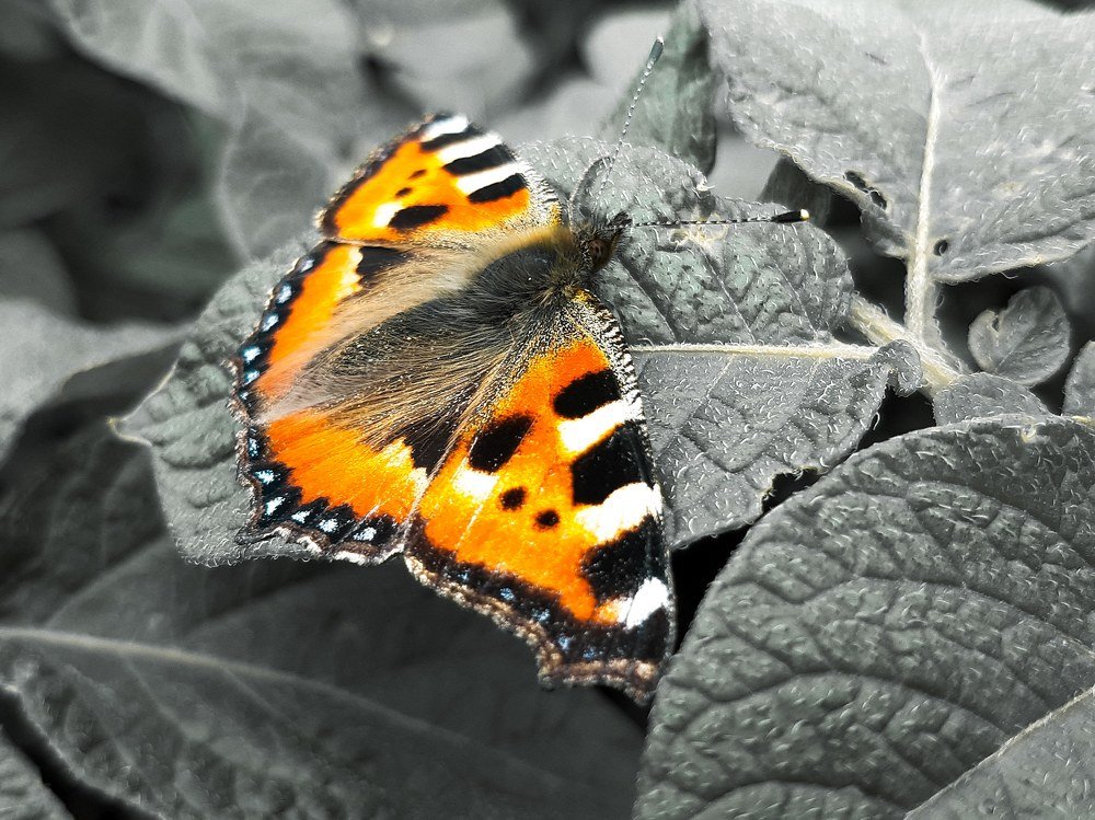 Photograph by Алексей Трубин