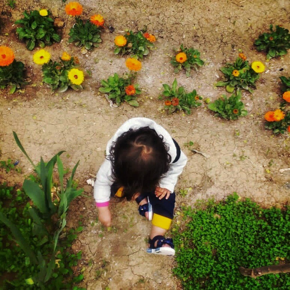 Фотография автора Mansoor Heydaryan