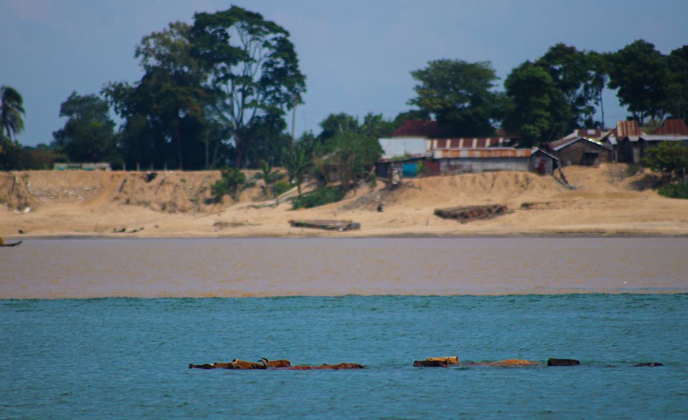 Photograph by Shariful Islam