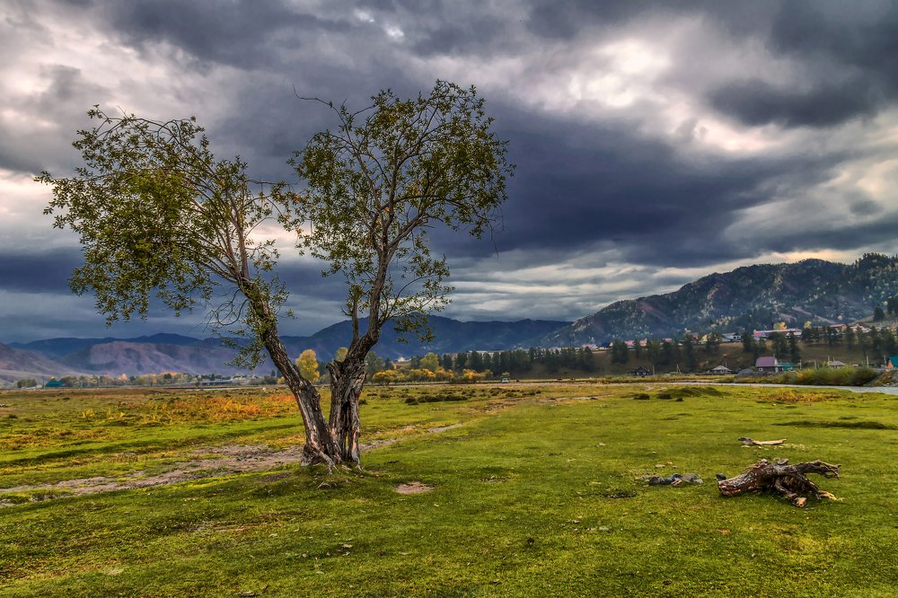 Хмурое утро.