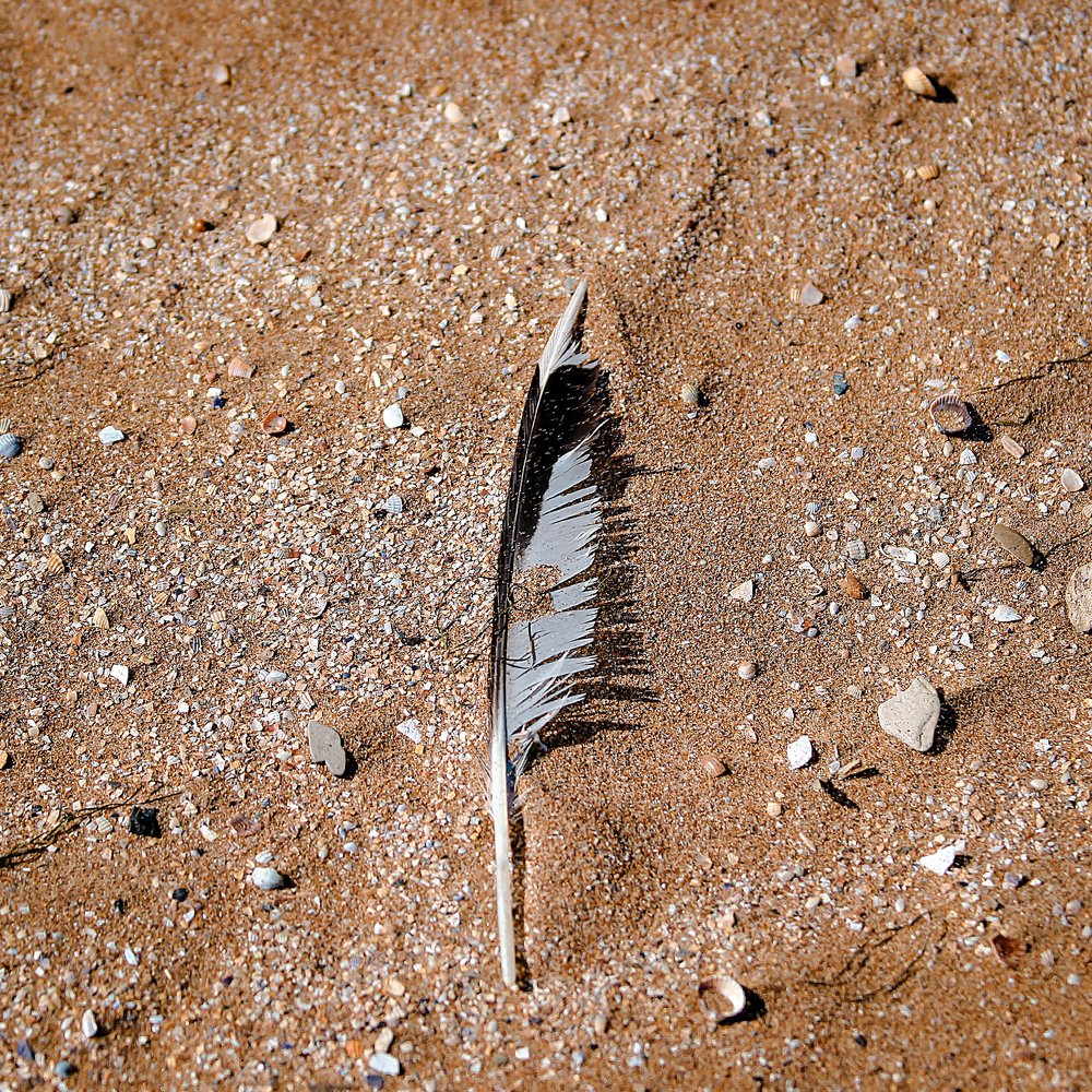 Photograph by Андрей Юдин