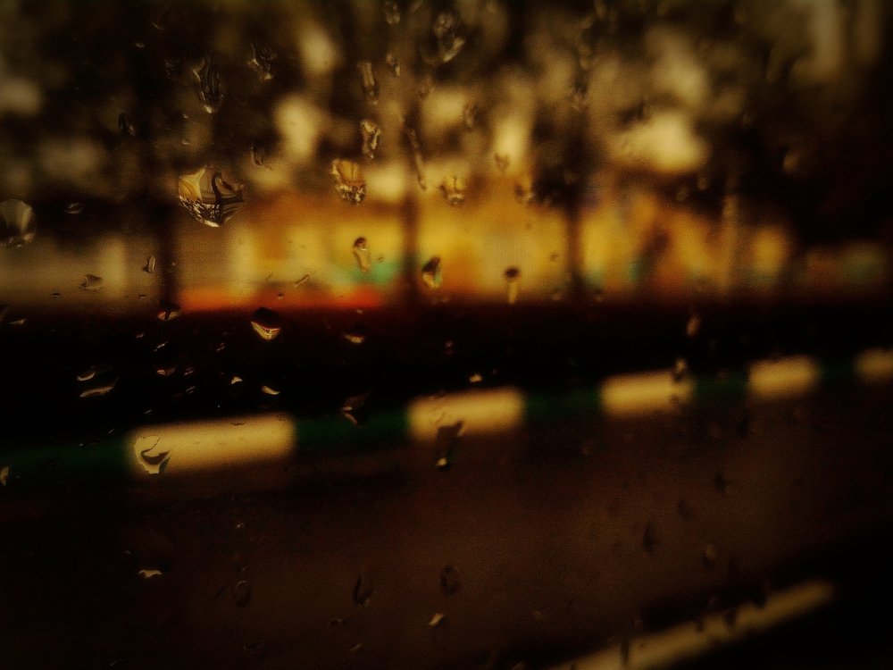 Фотография автора Mansoor Heydaryan