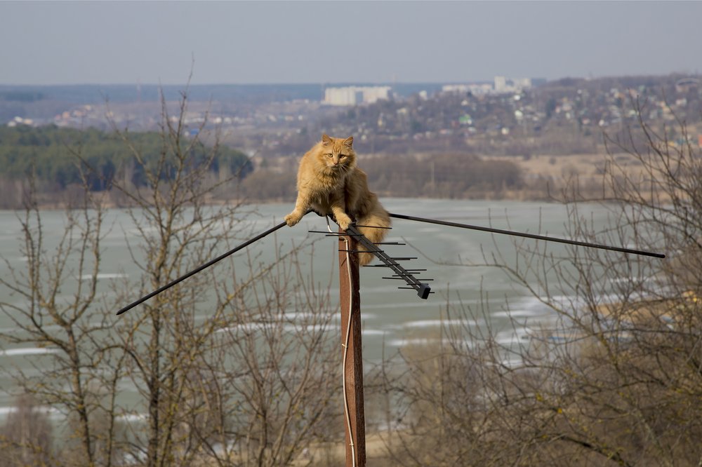 Photograph by Андрей Ларин