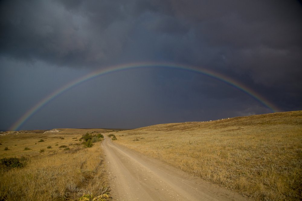 Photograph by Андрей Ларин