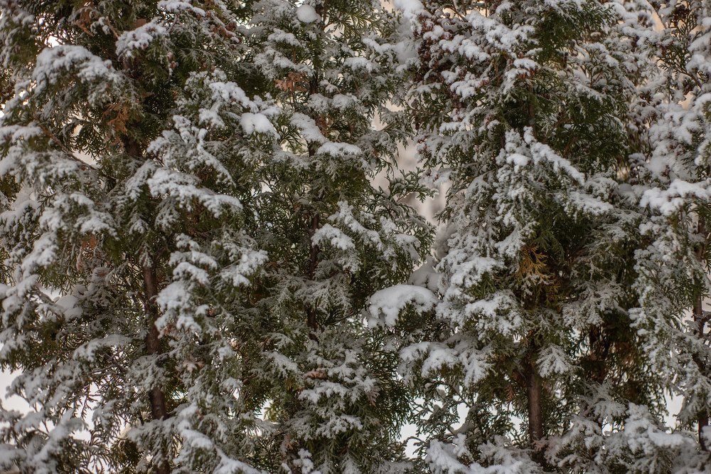 Photograph by Елена Башлыкова