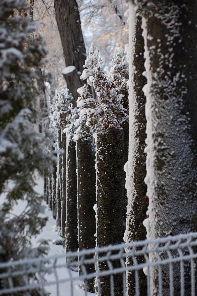 Photograph by Елена Башлыкова