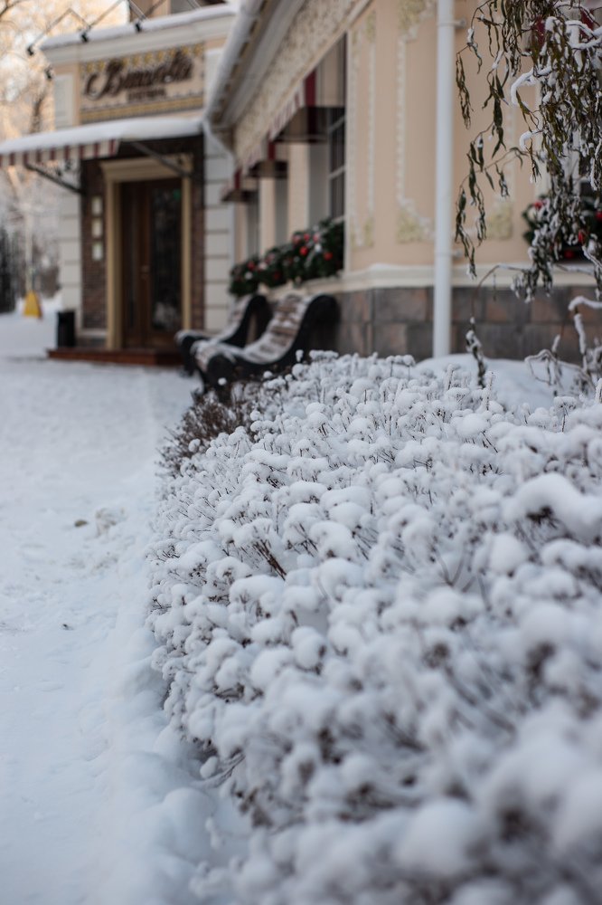 Photograph by Елена Башлыкова