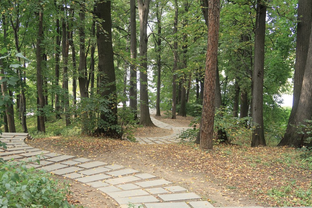 Photograph by Nikolay Hovich