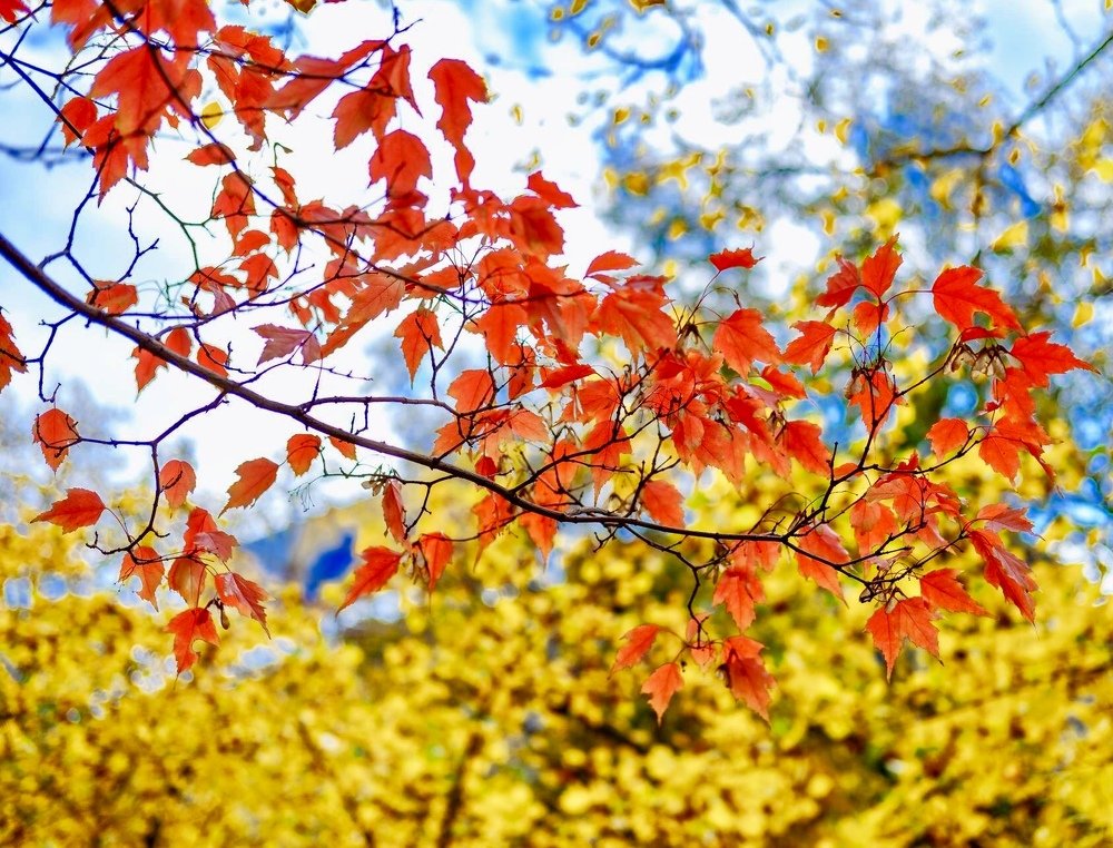 Photograph by Андрей Чернышов