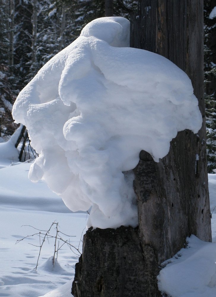 Photograph by Александр Исаченко