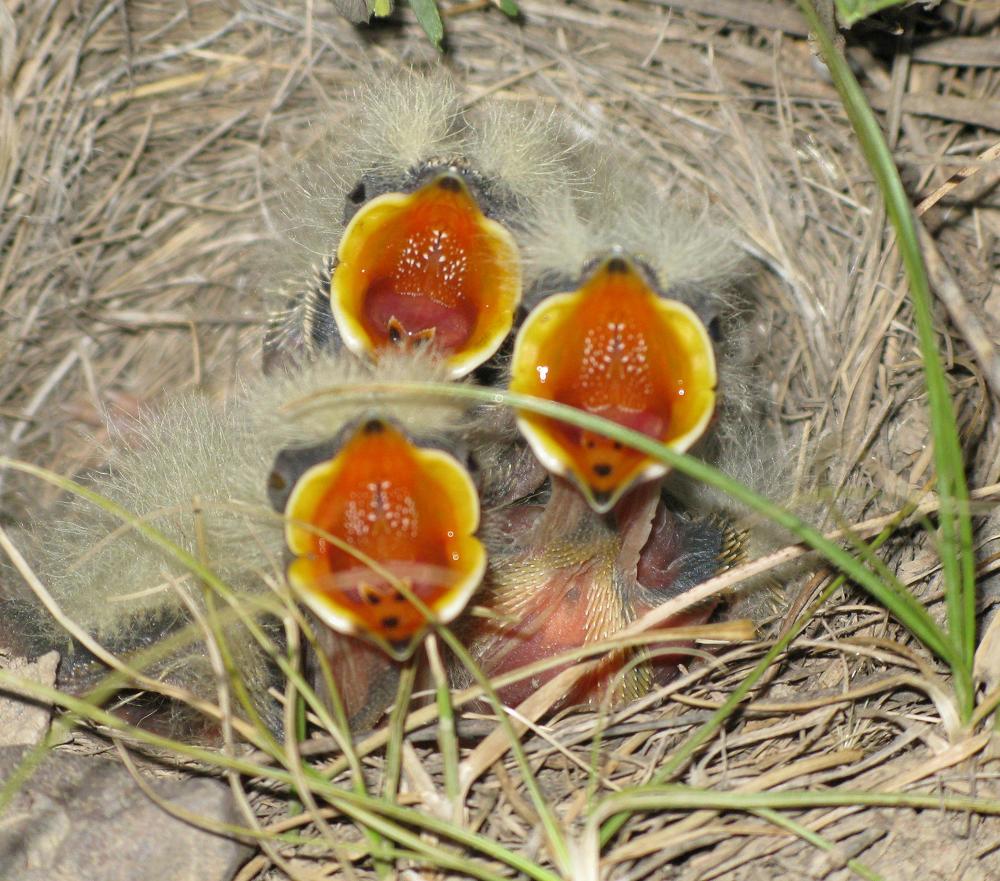 Photograph by Александр Исаченко