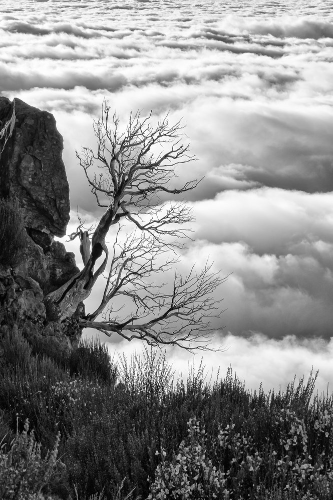 Одиночество над облаками