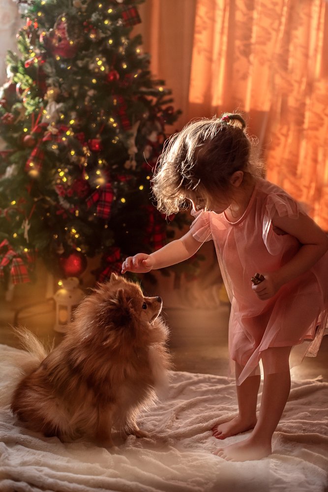 Фотография автора Мария Путилина